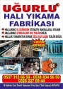 Havuz Temizliği